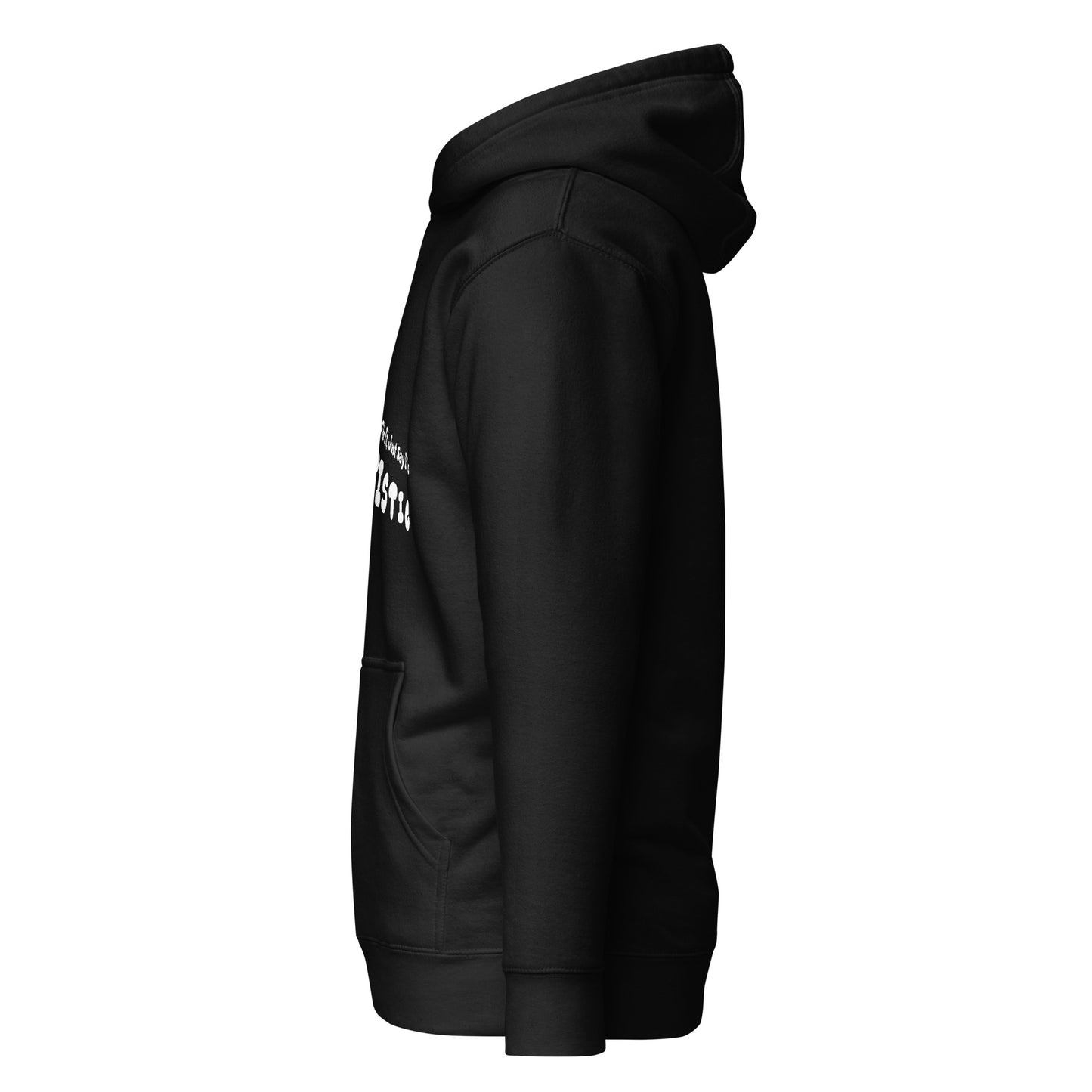 The plasterers's law hoodie