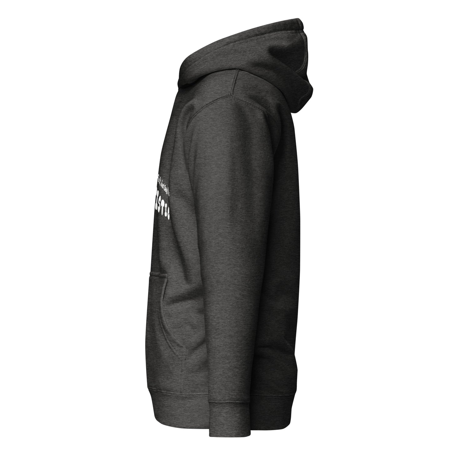The plasterers's law hoodie