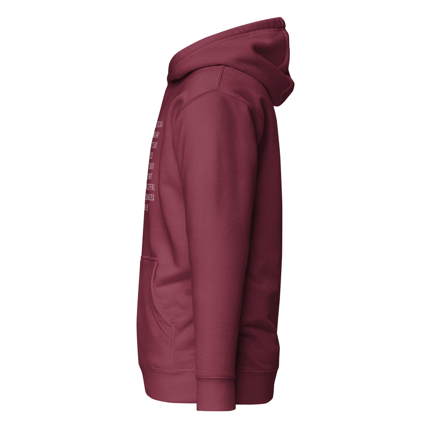 Plasterer traits hoodie