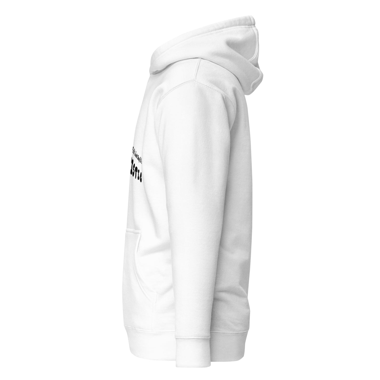 The plasterers's law hoodie